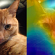 Illustration for article titled This New Deep Learning Tool Shows You the Most Memorable Parts of Your Photos